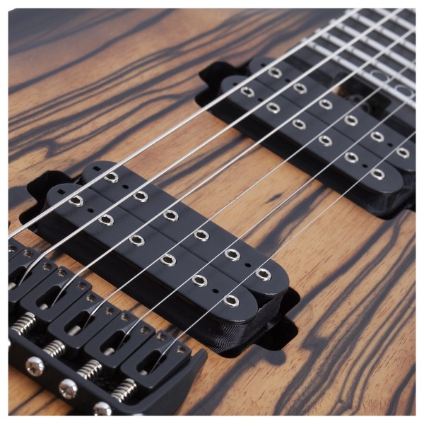Schecter C-1, Pale Moon - pickups