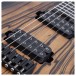 Schecter C-1, Pale Moon - pickups