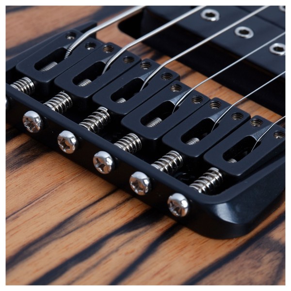 Schecter C-1, Pale Moon - bridge