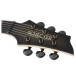 Schecter C-1 50TH Anniversary - headstock
