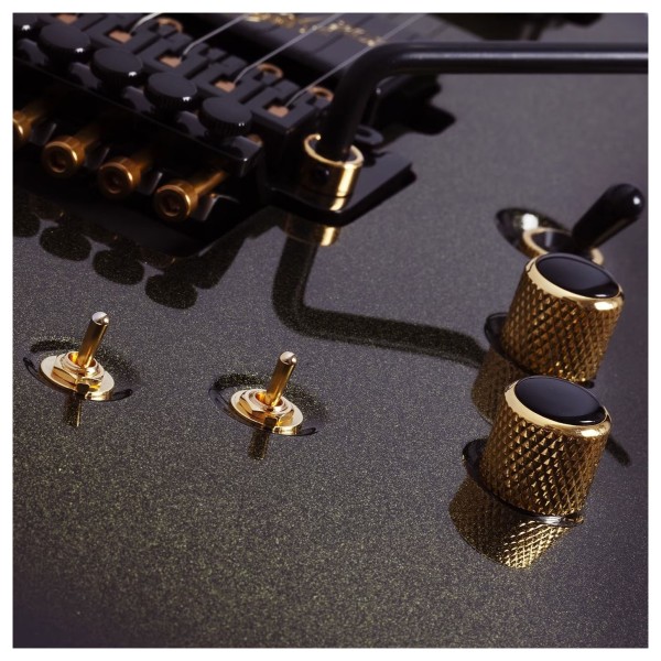 Schecter Avenger FR-S 50TH Anniversary - controls