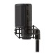 Shure KSM32C Large Diaphragm Condenser Microphone - Stand Mounted with Pop Filter