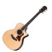 Taylor 414ce Next Generation, Natural