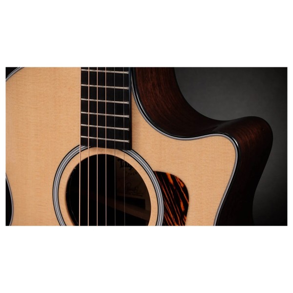 Taylor 414ce Next Generation, Natural