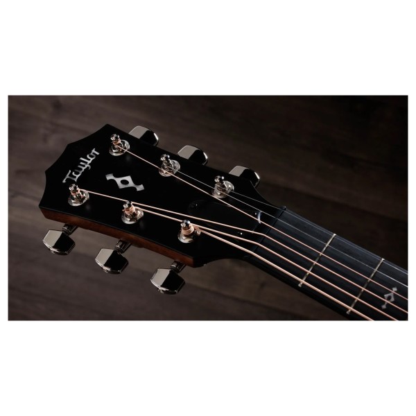 Taylor 414ce Next Generation, Natural