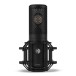 Shure KSM40C Large Diaphragm Condenser Microphone Bundle - Shock Mount