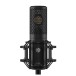 Shure KSM40C Large Diaphragm Condenser Microphone Bundle - Shock Mount Front