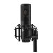 Shure KSM40C Large Diaphragm Condenser Microphone Bundle - Shock Mount Side