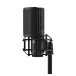 Shure KSM44MP Large Diaphragm Condenser Microphone 3Q Shockmount Pop Filter