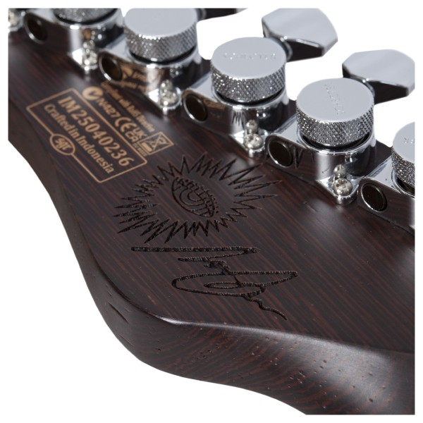 Schecter Nick Johnston Traditional, Atomic Mercury - headstock signature