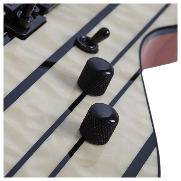 Schecter Synyster Standard Plus, GN - controls