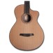 Furch Guitars GNc 2-CW a Nylon Classical w/ LR Baggs EAS-VTC