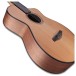 Furch Guitars GNc 2-CW a Nylon Classical w/ LR Baggs EAS-VTC