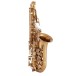 Conn CAS411 Alto Saxophone, Dark Lacquer