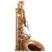 Conn CAS411 Alto Saxophone, Dark Lacquer