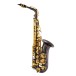 CONN CAS411 Alto Saxophone, Black and Gold