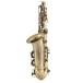 CONN CAS411 Alto Saxophone, Antique Matte
