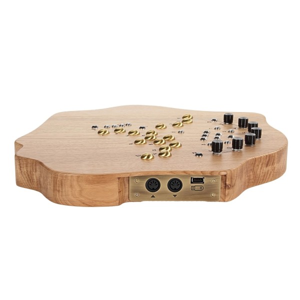 Terra Organic Polyphonc Microtonal Synthesizer, Light - Side