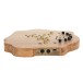 Terra Organic Polyphonc Microtonal Synthesizer, Light - Side