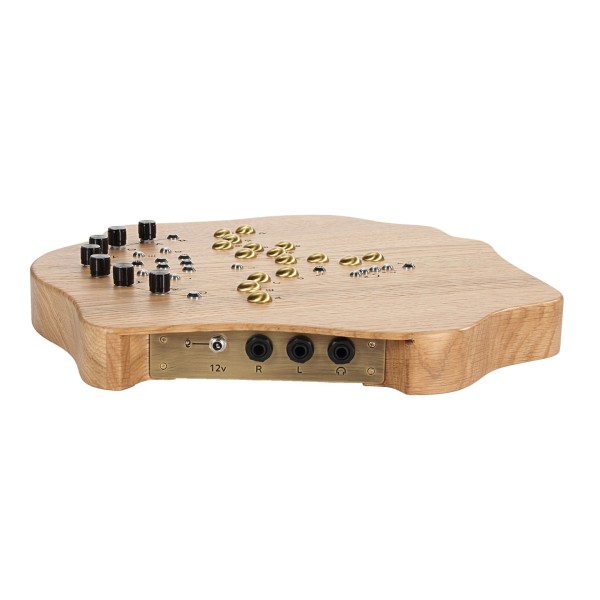 Terra Organic Microtonal Synth, Light - Side