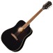 Epiphone Hummingbird Tribute​, Ebony