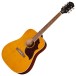 Epiphone Hummingbird Tribute​, Antique Natural