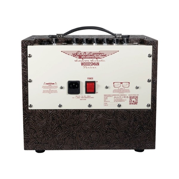 Ashdown 25W Acoustic Amplifier - Rear