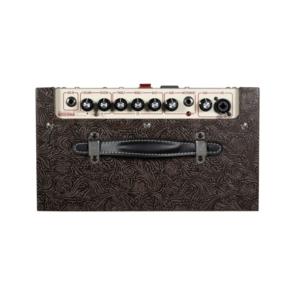Ashdown Woodsman Parlour Acoustic Amp - Controls