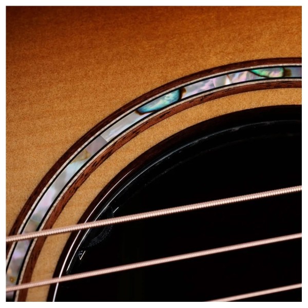 Taylor Builder's Edition 814ce Next Generation, Honduran / Adirondack - rosette detail