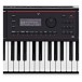 Roland Juno D-6 61 Key Portable Synthesizer - Detail 2