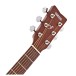 Yamaha F310 Acoustic Guitar Package, Natural