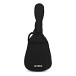 Yamaha F310 Acoustic Guitar Package, Natural