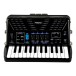 Roland FR-1X Piano-Type V-Accordion, Black with Bag 4