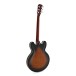 Hartwood Revival Legend TR Semi Acoustic Guitar & Hard Case