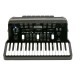 Roland FR-4X V-Accordion with Keyboard, Black with Bag 3