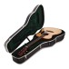 Martin 000-28 (2025) - guitar in case