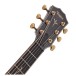 Classic spruce and mahogany dreadnought tone Forward-shifted scalloped bracing for bold projection Plek-treated neck with High P