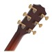 Classic spruce and mahogany dreadnought tone Forward-shifted scalloped bracing for bold projection Plek-treated neck with High P