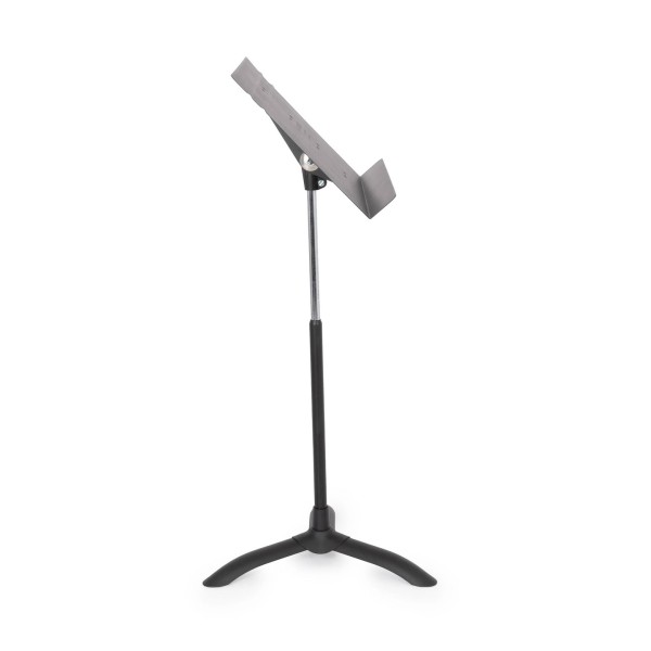 Manhasset Symphony Concertino stand 3