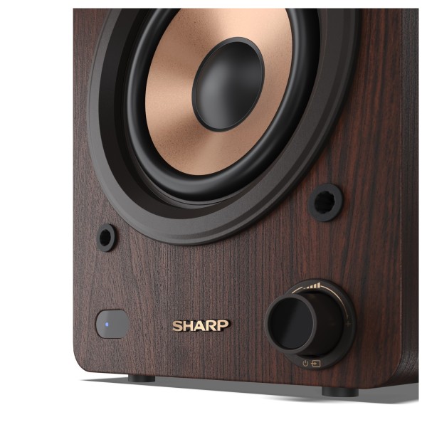SHARP CP-SS30 Bookshelf Speakers (Pair), Brown - Up-close, volume dial