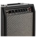 Antiquity 15 Watt Guitar Combo With Reverb - controls