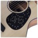 Furch Violet 45th Anniversary Gc-EM a Anthem Acoustic Guitar - scratchplate