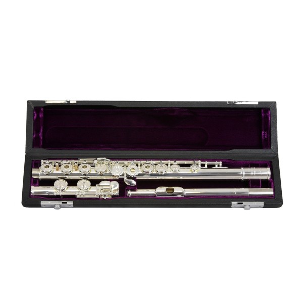 Trevor James Privilege Flute, Shaped Silver Lip Plate, Open Hole In Case