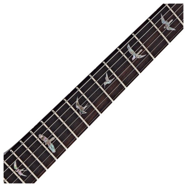 PRS Tremonti, Charcoal Contour Burst #0414972 - bird inlays