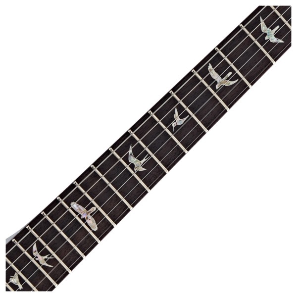 PRS Tremonti, Black #0416130 - bird inlays