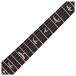 PRS Tremonti, Black #0416130 - bird inlays