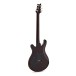 PRS DGT Moons, Gold Top #0416929 - back