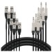 Studiospares Pro Neutrik Loom XLR (F) - TRS 8 Way, 5m