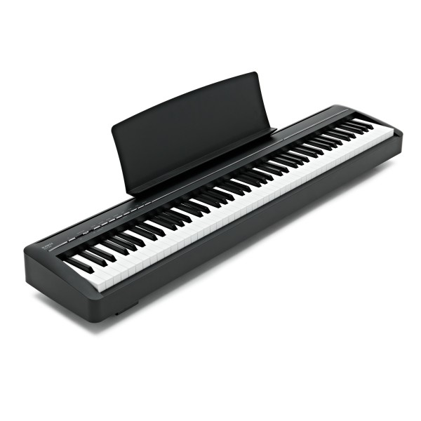 Kawai ES120 Digital Stage Piano, Black