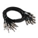 Studiospares Pro Neutrik Loom XLR (F) - TRS 8 Way, 3m